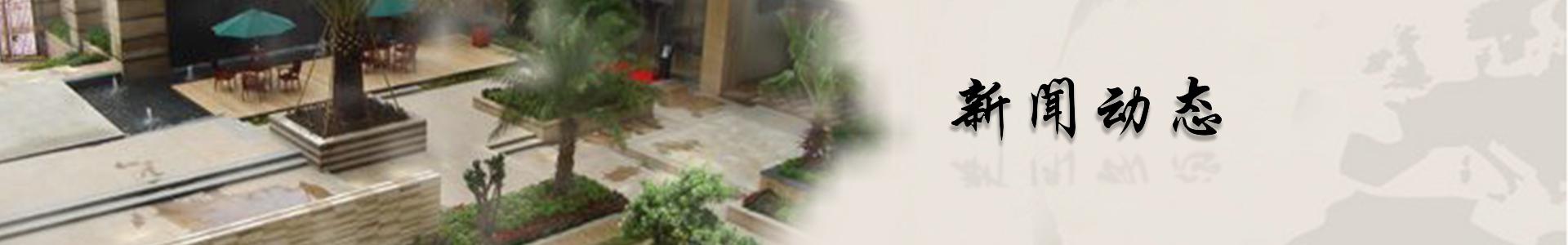 新聞動(dòng)態(tài)